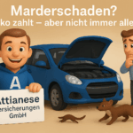 Kaskoversicherung marder